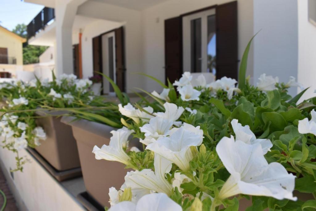 B&B Lastracu Castellammare del Golfo Eksteriør bilde